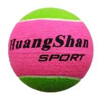 customize Pet tennis balls 9.5 inches Signature tennis balls,Giant tennis balls